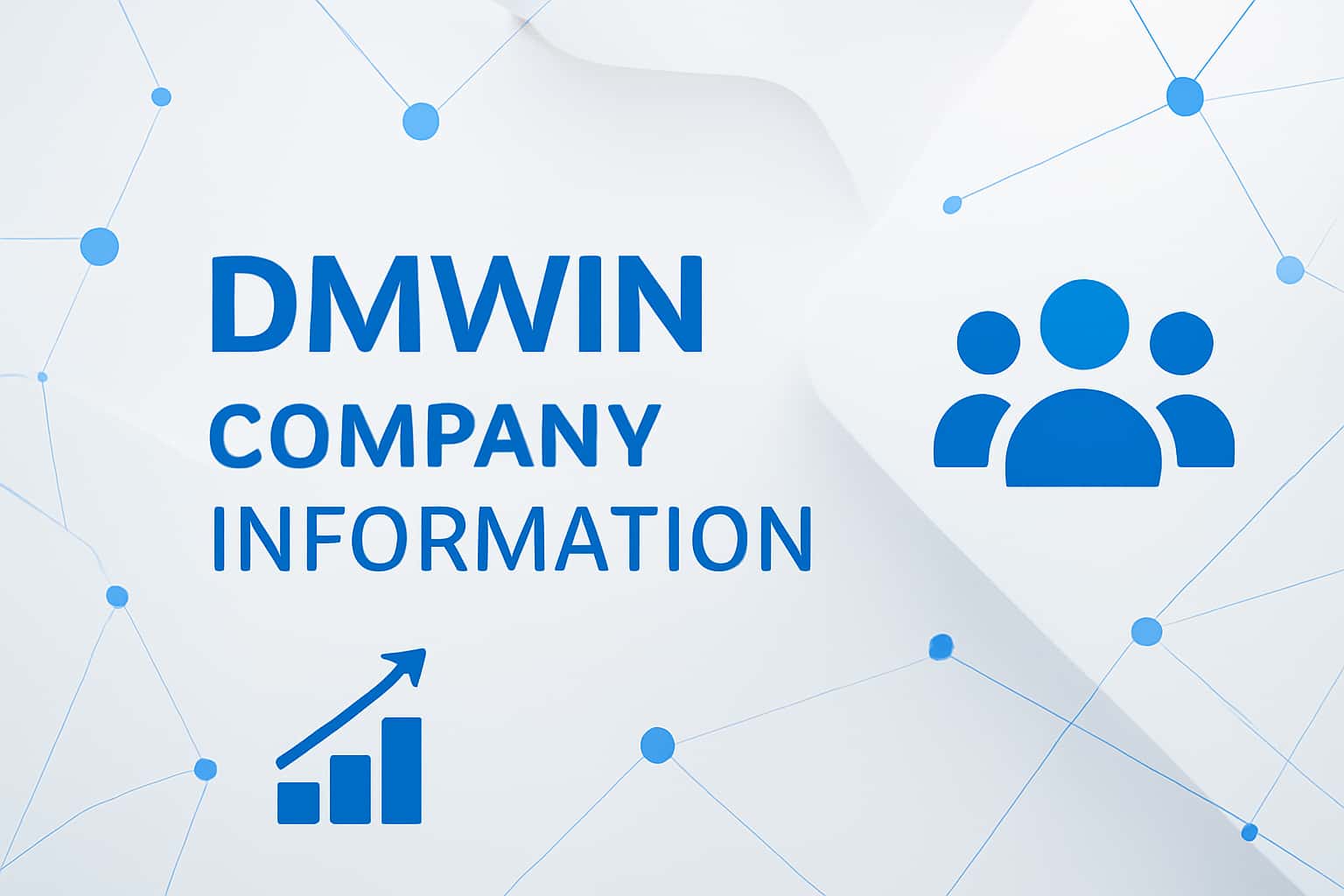 DMWin Company Information Interface